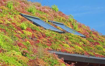 Whiteholme living roof systems